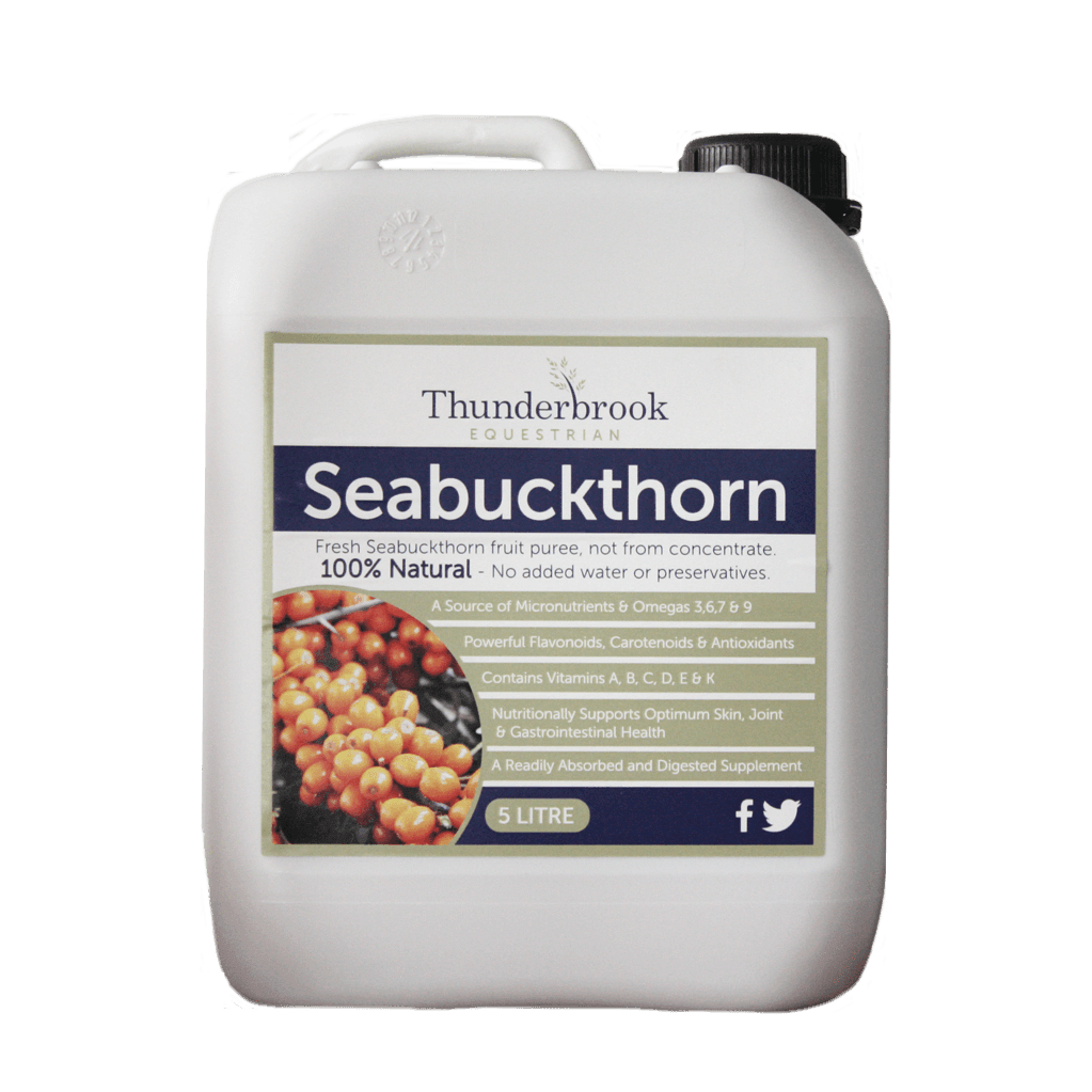 Thunderbrook Seabuckthorn 5L | Luxury Home Accessories | Heulog Glow
