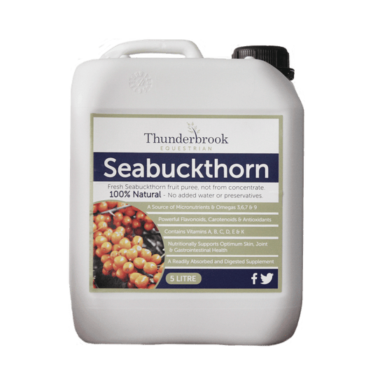 Thunderbrook Seabuckthorn 5L | Luxury Home Accessories | Heulog Glow