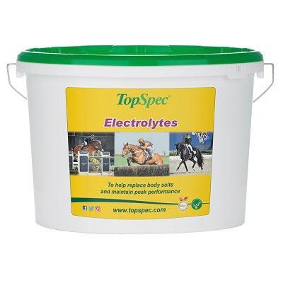 TopSpec Electrolytes | Luxury Home Accessories | Heulog Glow