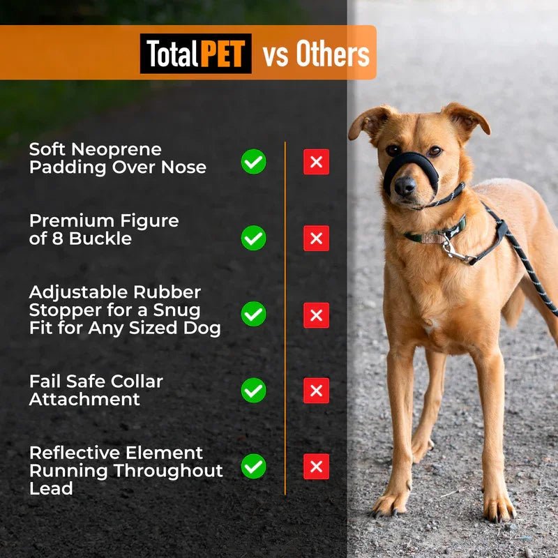 Total Pet Figure 8 Rope Medium/Large Dog Lead Black - RSP £19.99 | Luxury Home Accessories | Heulog Glow