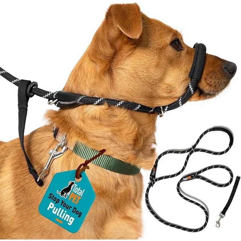 Total Pet Figure 8 Rope Medium/Large Dog Lead Black - RSP £19.99 | Luxury Home Accessories | Heulog Glow