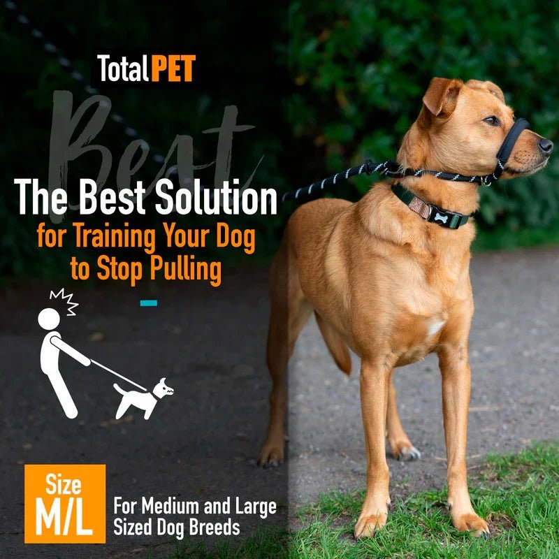 Total Pet Figure 8 Rope Medium/Large Dog Lead Black - RSP £19.99 | Luxury Home Accessories | Heulog Glow