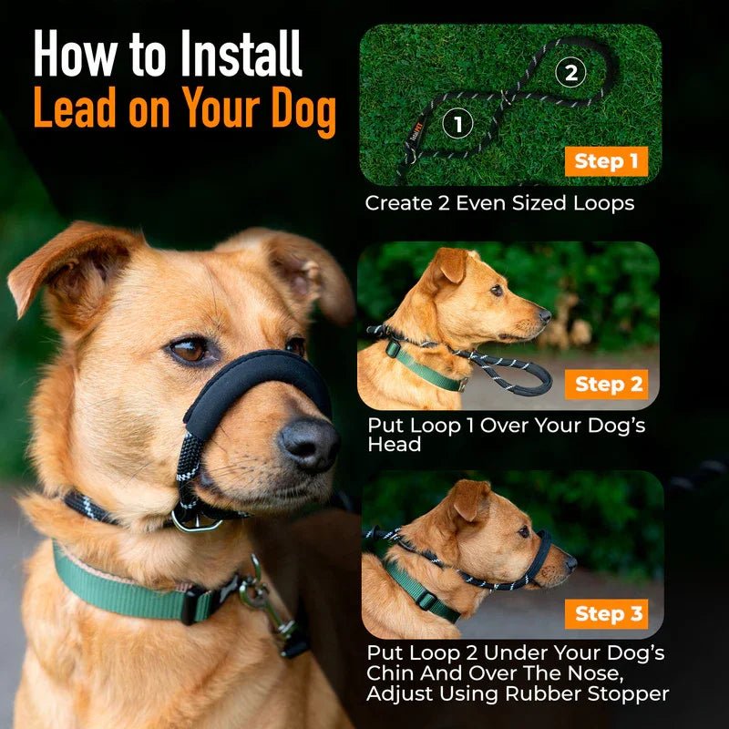 Total Pet Figure 8 Rope Medium/Large Dog Lead Black - RSP £19.99 | Luxury Home Accessories | Heulog Glow
