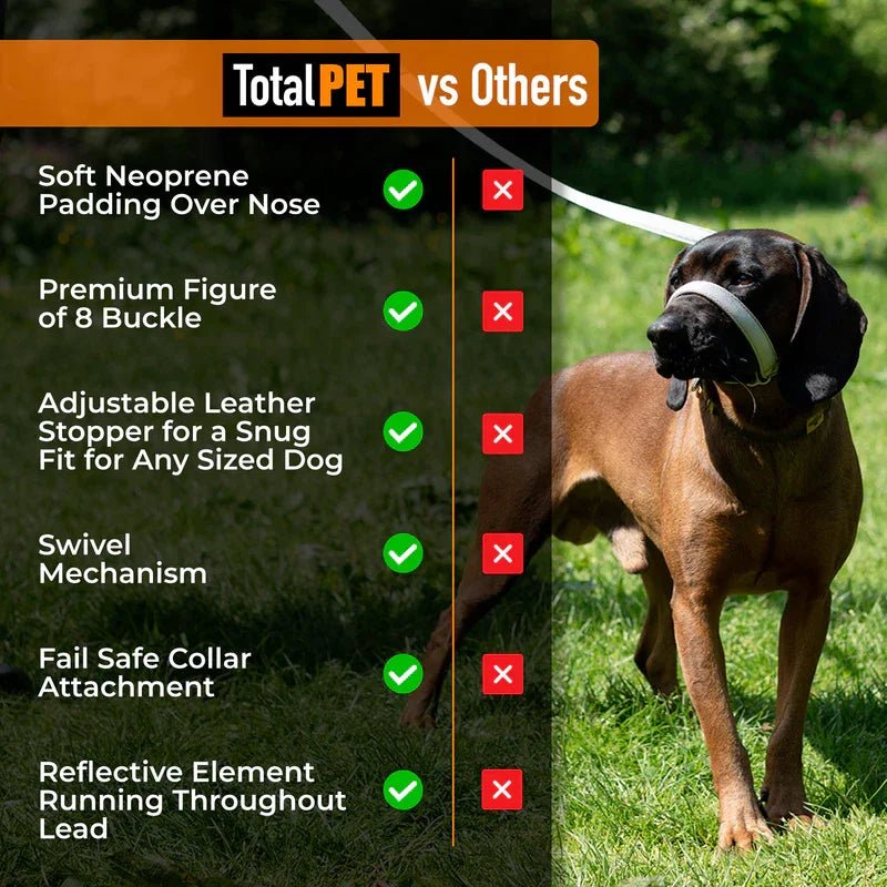 Total Pet Swivel Flat Figure 8 Dog Lead 210cm - RSP £23.99 | Luxury Home Accessories | Heulog Glow
