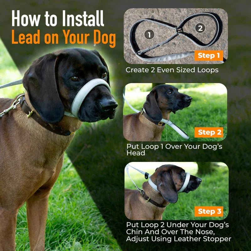 Total Pet Swivel Flat Figure 8 Dog Lead 210cm - RSP £23.99 | Luxury Home Accessories | Heulog Glow