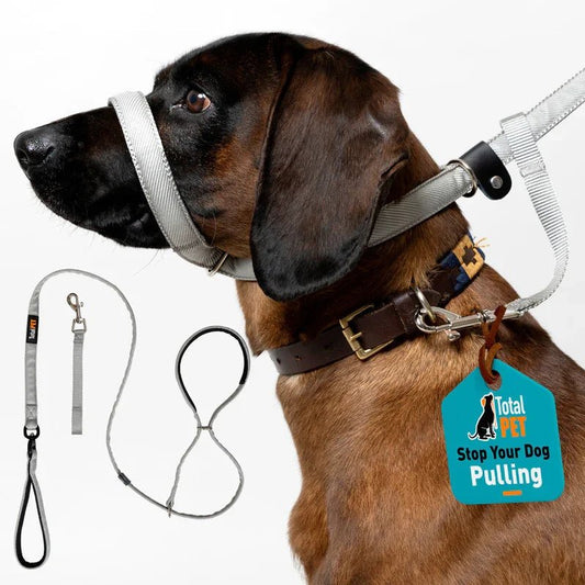 Total Pet Swivel Flat Figure 8 Dog Lead 210cm - RSP £23.99 | Luxury Home Accessories | Heulog Glow