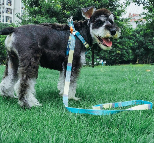 Touch dog it''s new heat transfer printing traction rope chest back collar dog rope walking dog artifact traction outdoor belt | Luxury Home Accessories | Heulog Glow