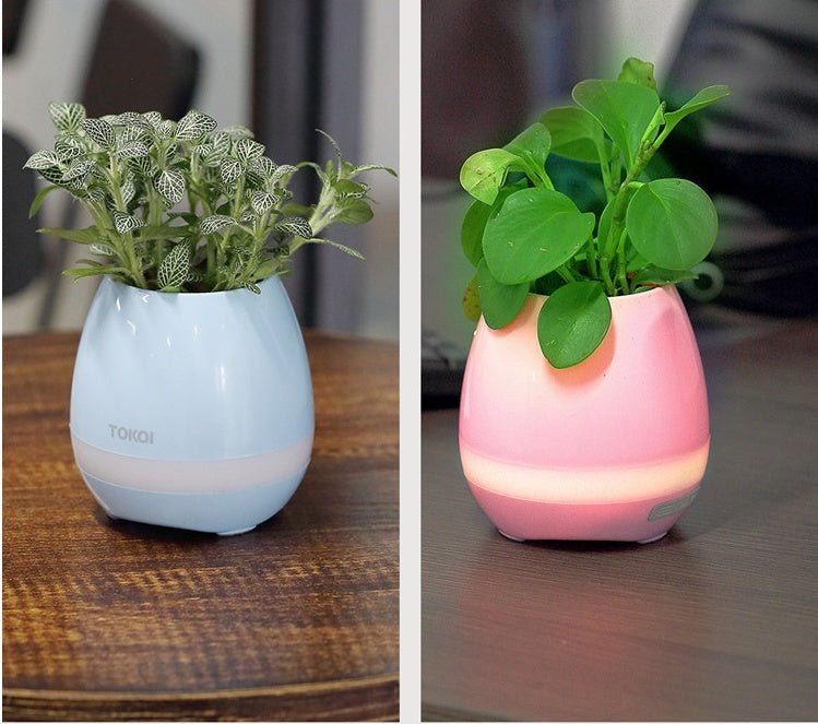 Touch-sensitive music vase desktop audio | Luxury Home Accessories | Heulog Glow