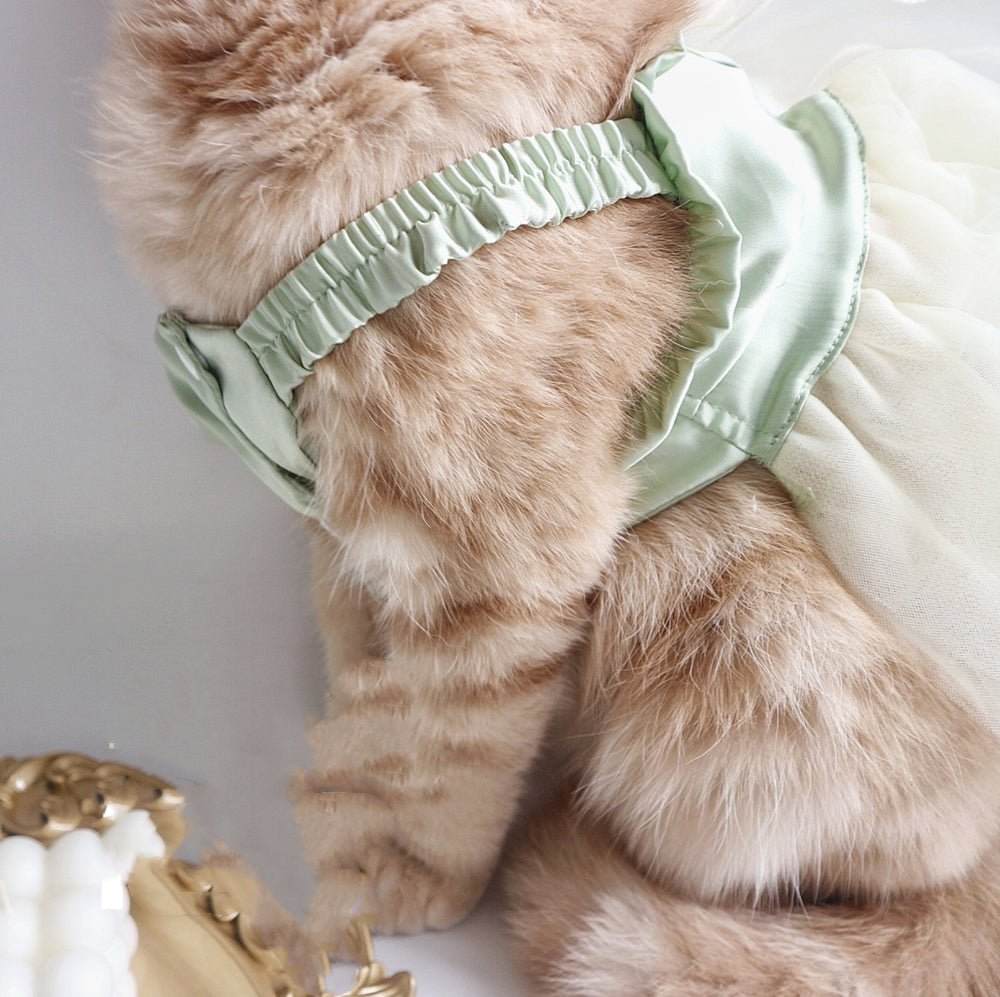 Tow Clothes Dog Cat Go Out Tow Rope Bow | Luxury Home Accessories | Heulog Glow
