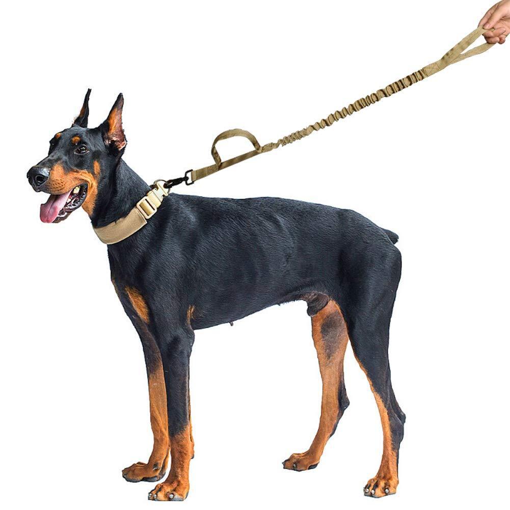 Training Dog Leash | Luxury Home Accessories | Heulog Glow