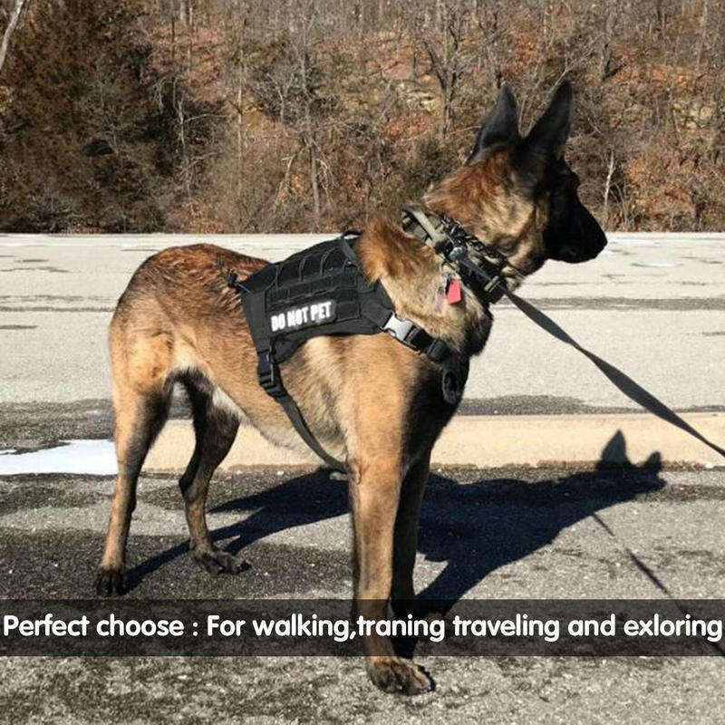 Training Dog Leash | Luxury Home Accessories | Heulog Glow