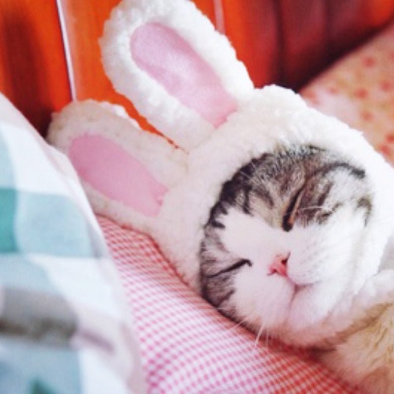 Transformed Hat Rabbit Ears Pet Headdress | Luxury Home Accessories | Heulog Glow