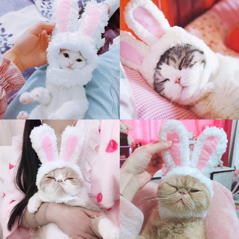 Transformed Hat Rabbit Ears Pet Headdress | Luxury Home Accessories | Heulog Glow