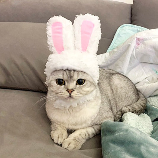 Transformed Hat Rabbit Ears Pet Headdress | Luxury Home Accessories | Heulog Glow