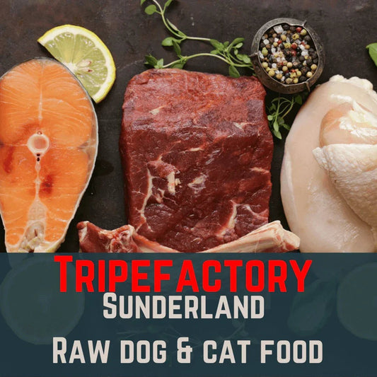 Tripefactory Sunderland - 1lb (Single) - Raw Dog & Cat Food | Luxury Home Accessories | Heulog Glow