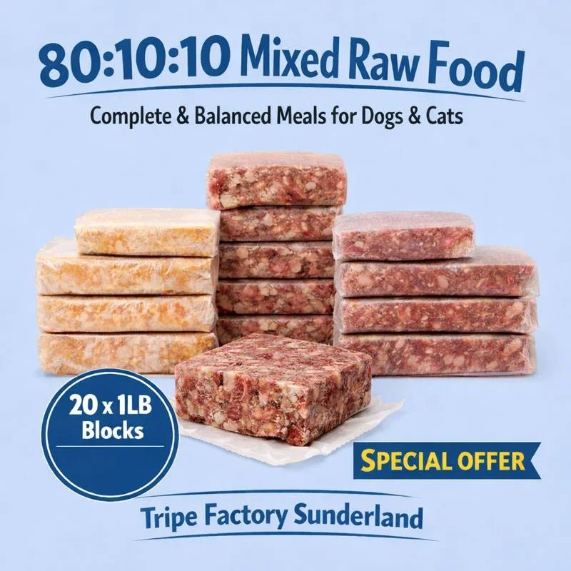 Tripefactory Sunderland - 20lb 80:10:10 (Full Box) - Raw Dog & Cat Food | Luxury Home Accessories | Heulog Glow