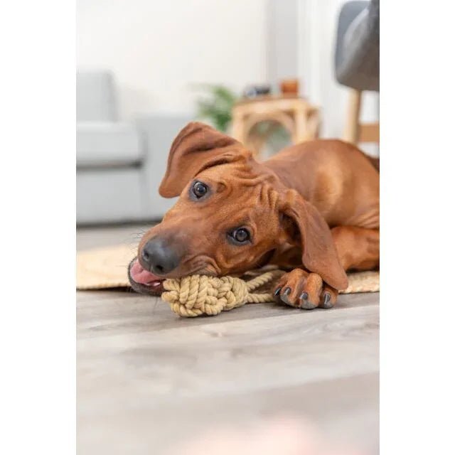 Trixie BE NORDIC Playing Rope with Woven-in Ball | Luxury Home Accessories | Heulog Glow