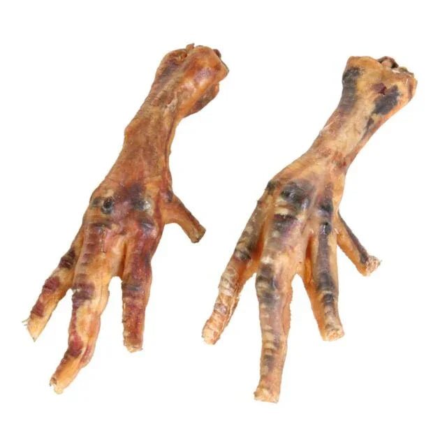 Trixie Chicken Feet | Luxury Home Accessories | Heulog Glow