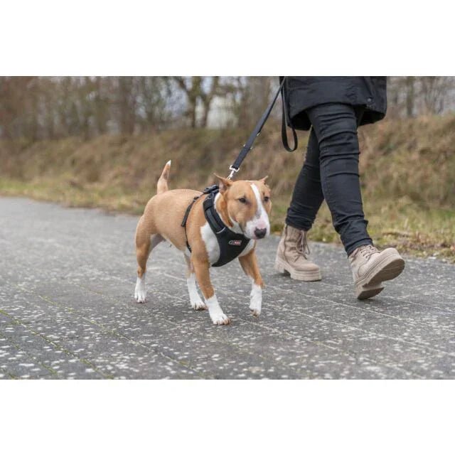 Trixie Premium FlexMesh Harness | Luxury Home Accessories | Heulog Glow