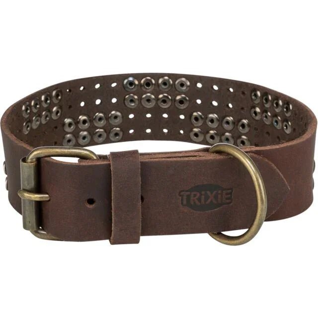 Trixie Rustic Greased leather collar Rivets, extra wide | Luxury Home Accessories | Heulog Glow