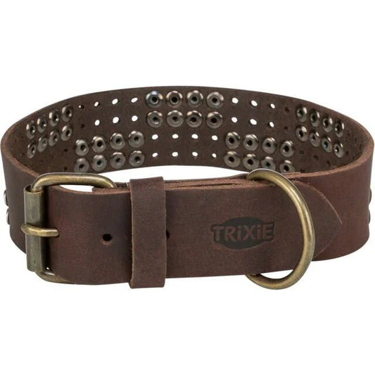 Trixie Rustic Greased leather collar Rivets, extra wide | Luxury Home Accessories | Heulog Glow
