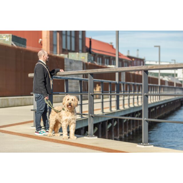 Trixie Summit Adjustable Lead | Luxury Home Accessories | Heulog Glow