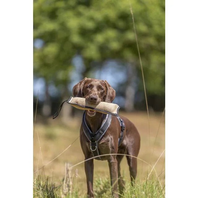Trixie Training Dummy Biting Bulge | Luxury Home Accessories | Heulog Glow