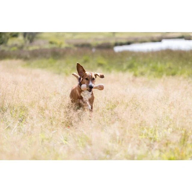 Trixie Wooden Retrieving Dumbbell | Luxury Home Accessories | Heulog Glow