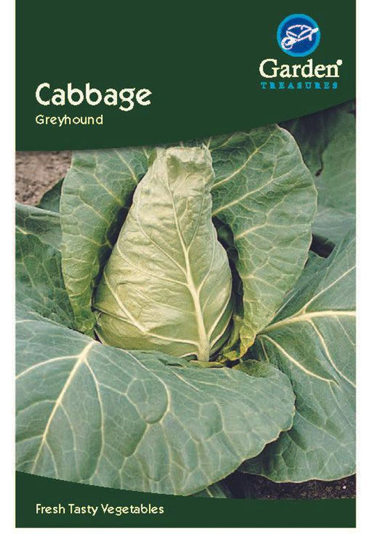 Cabbage Greyhound (Approx. 310 seeds)