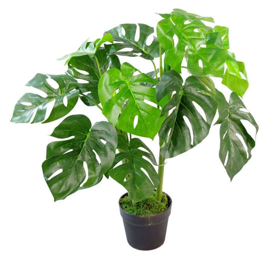 Premium 80cm Monstera Cheese Plant - Realistic Artificial Leaf Design - Attention to Detail