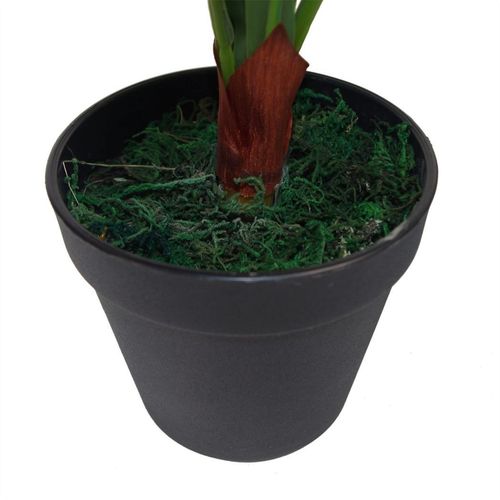 60cm Bushy Large Artificial Bird's Nest Fern Plant