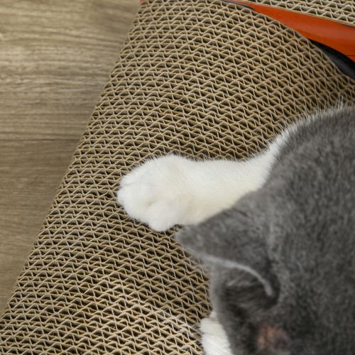 PawHut 2 in 1 Cat Scratching Board with Catnip, Car-shaped Cat Scratch Bed