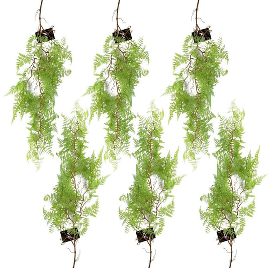6-Pack 100cm Artificial Hanging Maidenhair Fern - Light Green