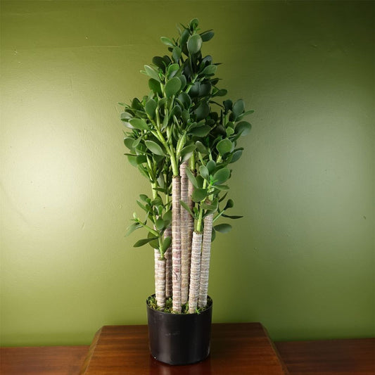 Deluxe 75cm Green Jade Plant: Exquisite, Realistic, Elegant, Sophisticated, Perfect for Any Space.