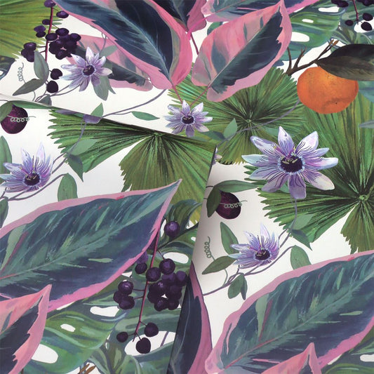 Premium Quality Passion Flower White sw12 - Best in Class Blossoms!