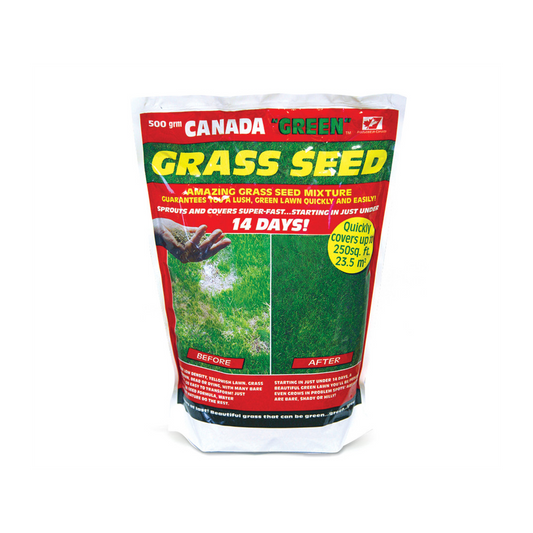 Premium Canada Green Grass Seed - 500g Bag