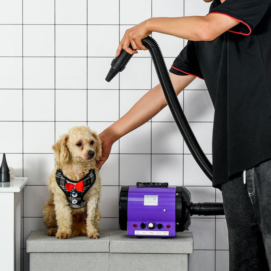 PawHut 2800W Dog Dryer Blaster Pet Grooming Hair Dryer Blower Adjustable Temperature Speed with 2.1M Flexible Hose 3 Nozzles - Purple