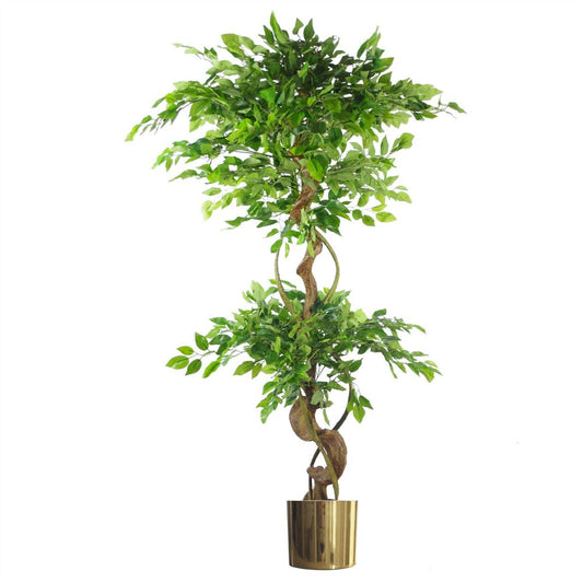 150cm Twisted Trunk Artificial Japanese Ficus Tree & Gold Planter - Premium Quality