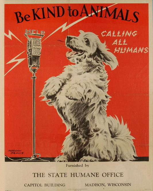 Vintage Metal Sign - Retro Be Kind To Animals Advertising - 40x28cm - UK Made