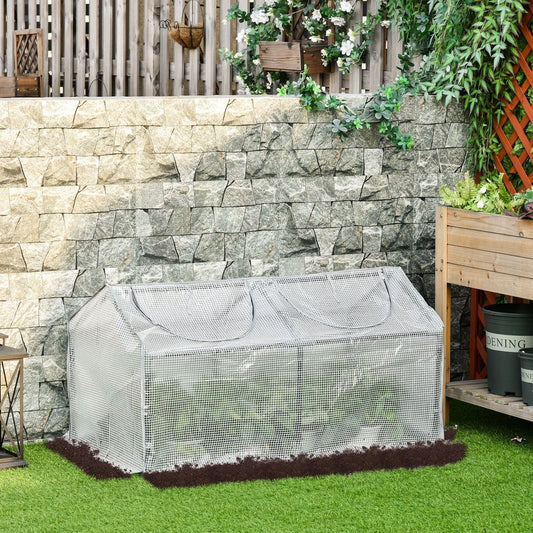 Mini Greenhouse With 2 Windows, Plant Flower Herbs Growing 120cmx60cmx60cm