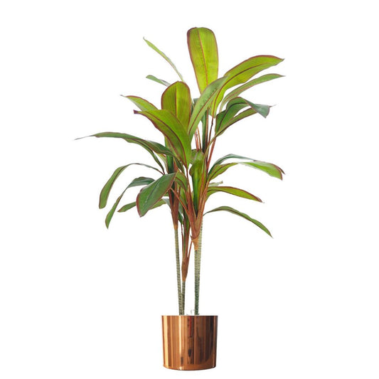 Realistic 100cm Dracaena Tropical Plant w/ Copper Metal Pot - High Quality
