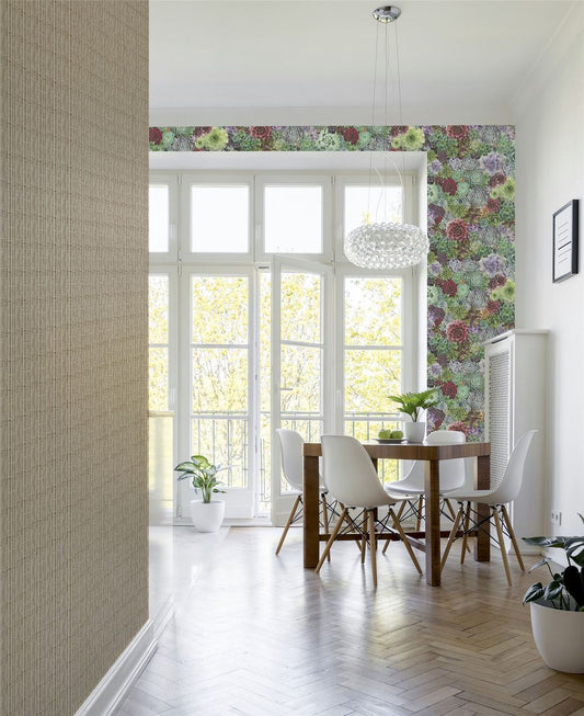 Premium Quality Succulent Living Wall Multi sw12