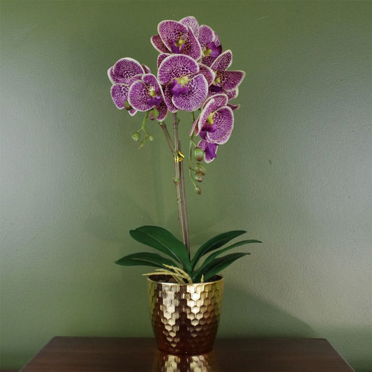 50cm Purple Leopard Phalaenopsis Orchid - Realistic Artificial - Gold Pot