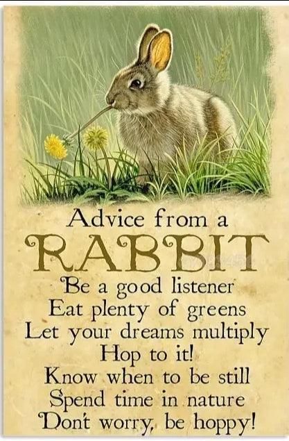 Various Rabbit Tin Sign | Luxury Home Accessories | Heulog Glow