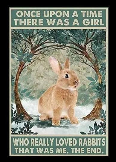 Various Rabbit Tin Sign | Luxury Home Accessories | Heulog Glow