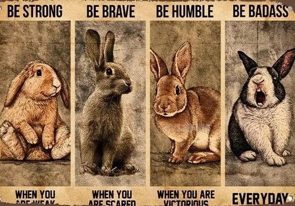 Various Rabbit Tin Sign | Luxury Home Accessories | Heulog Glow