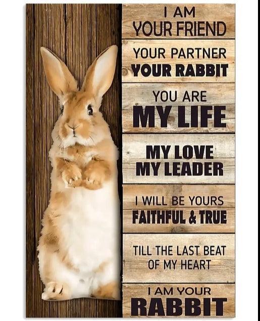 Various Rabbit Tin Sign | Luxury Home Accessories | Heulog Glow