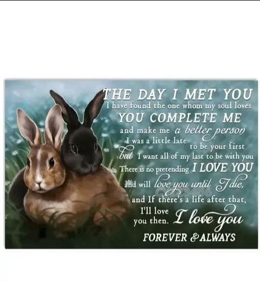 Various Rabbit Tin Sign | Luxury Home Accessories | Heulog Glow