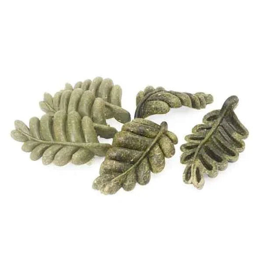 Veggie Burst Nibble Leaves | Luxury Home Accessories | Heulog Glow