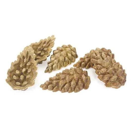 Veggie Burst Pinecones | Luxury Home Accessories | Heulog Glow
